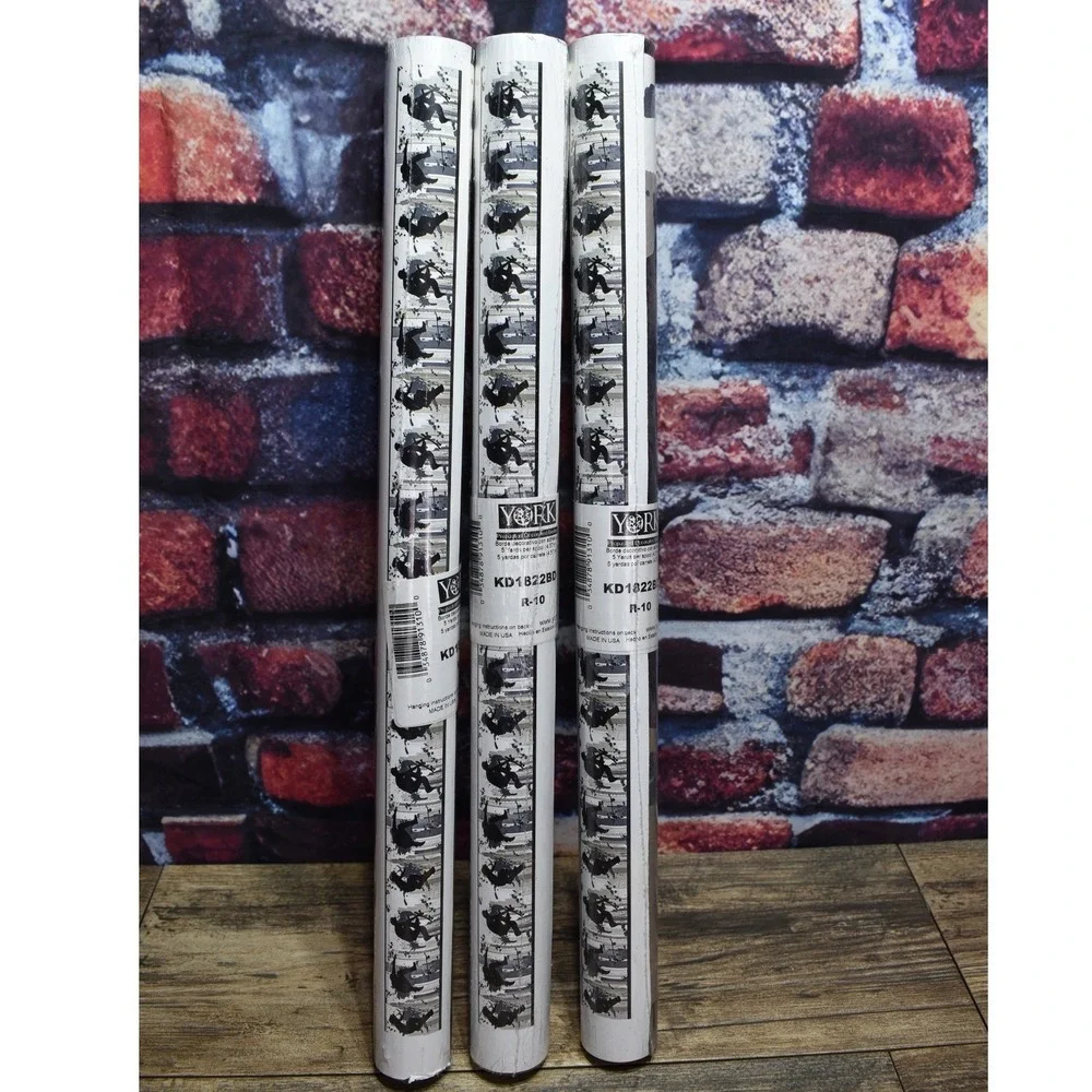 York Wallcoverings Skateboarder Wallpaper Border Prepasted 3 Rolls KD1822BD R-10